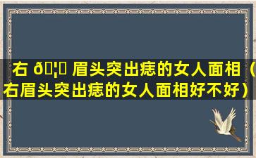 右 🦁 眉头突出痣的女人面相（右眉头突出痣的女人面相好不好）